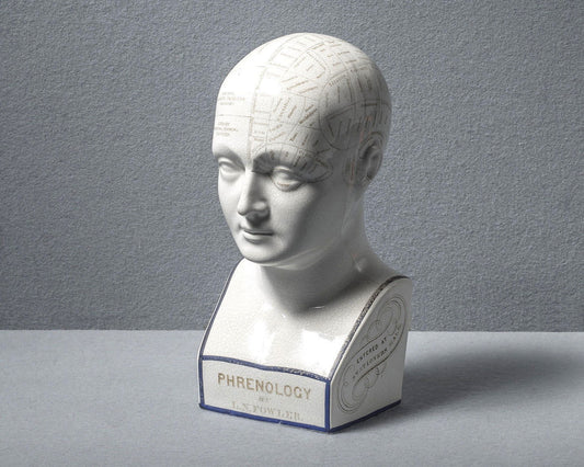 Original Antique Phrenology Head, circa 1855 - Luke Honey | Antiques, Chess, Backgammon & Games