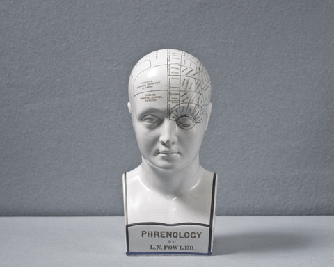An Antique Phrenology Bust, circa 1855