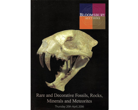fossils rocks meteorites auction catalogue for sale